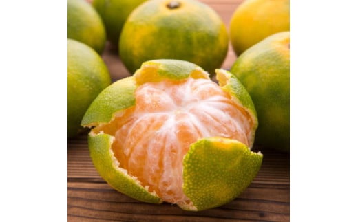 【初秋の美味】特撰 ゆら早生有田みかん 5kg+200g(傷み補償分)【2026年10月中旬～11月上旬頃に順次発送予定】※北海道・沖縄・離島配送不可 / 和歌山 ミカン オレンジ 柑橘 フルーツ 果物 旬【ard051D】