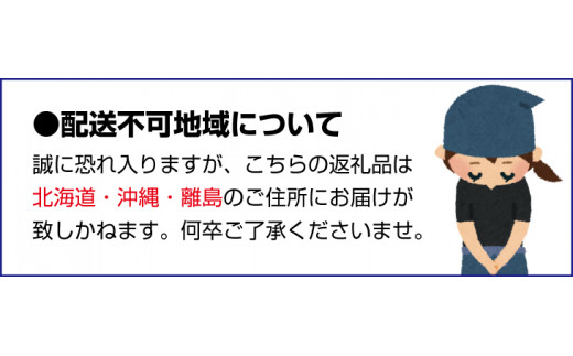 【先行予約】【2026年9月中旬～10月上旬頃に順次発送予定】特撰 青切り有田みかん 1kg+200g(傷み補償分) ※北海道・沖縄・離島配送不可 / みかん ミカン 果物 フルーツ 柑橘 和歌山 有田みかん 青切 極早生 早生みかん【ard232】