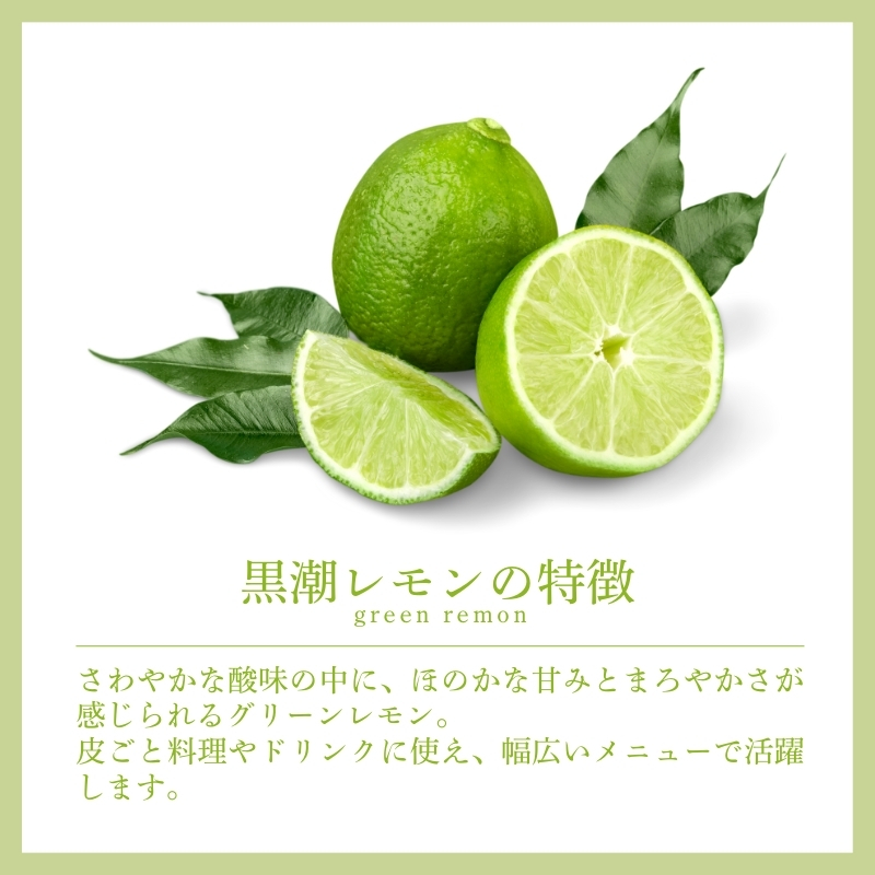 ＜先行予約＞わけあり レモン5kg+250g（傷み補償分）【和歌山有田産】【防腐剤・WAX不使用、安心の国産レモン】【わけあり・訳ありレモン】【ikd031C】