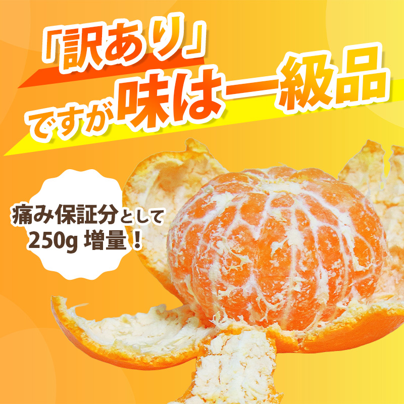 【先行予約】家庭用有田みかんサイズ混合(2S～2L)10kg+250g 11月より発送(完熟)/ みかん ミカン 有田みかん 柑橘 フルーツ 果物 和歌山 オレンジ【ikd175B】 