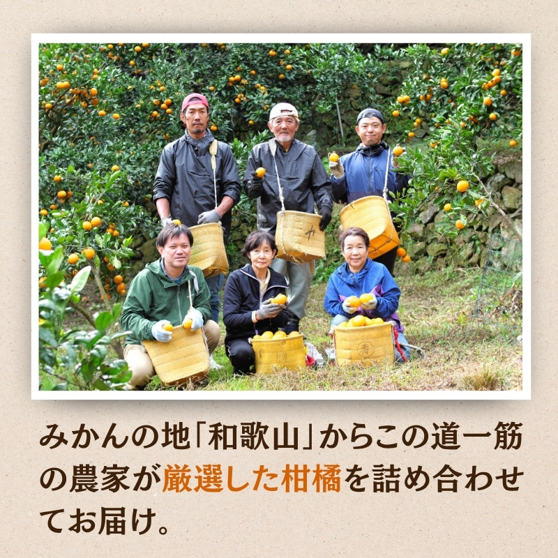 ＜1月より発送＞家庭用 柑橘詰合せ5kg+250g（傷み補償分）【訳あり・わけあり】【有田の春みかん詰め合わせ・フルーツ詰め合せ・オレンジつめあわせ】【光センサー選別】【ikd208A】