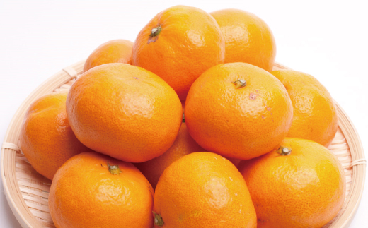 【先行予約】プレミアム有田みかん1kg+250g（傷み補償分）11月より発送(完熟)/ みかん ミカン 有田みかん 柑橘 フルーツ 果物 和歌山 オレンジ【ikd214】