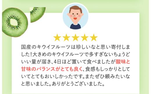 ＜11月より発送＞わけあり キウイ10kg+250g（傷み補償分）【わけあり・訳あり・扁平果】 / 和歌山  フルーツ 果物 くだもの 旬 キウイフルーツ キウイ【ikd716】