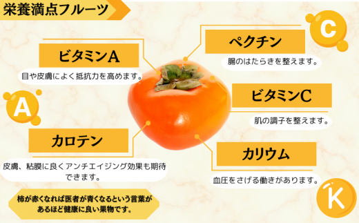 【先行予約】【JAながみね】Lサイズ たねなし柿 約7.5kg 【2024年9月下旬～10月下旬に順次発送致します。】  種なし 種無し タネなし 柿 かき カキ フルーツ 果物 人気 旬 秋の味覚【jan001】