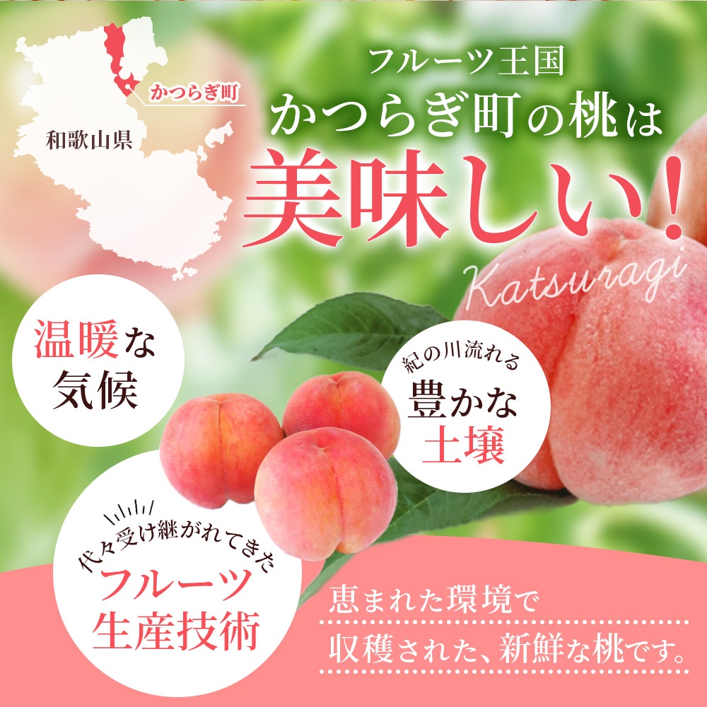 【先行予約】【厳選】あふれる果汁で口いっぱい！ 食べきりサイズ 和歌山県産 桃 3玉 【2026年6月末頃～2026年8月末頃に順次発送予定】（お届け日指定不可）/ 和歌山 桃 モモ フルーツ もも 白桃 果物 くだもの【kgr002】