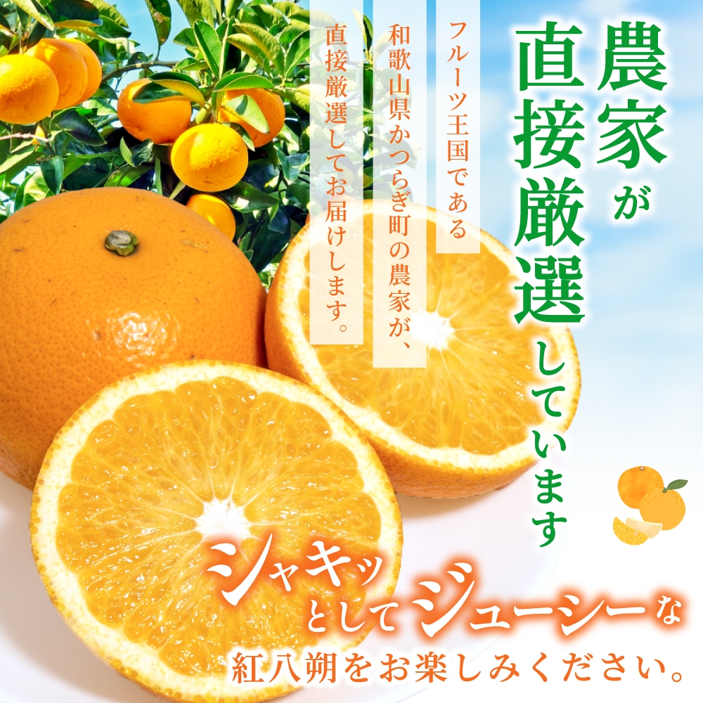【先行予約】【数量わずか】あふれる果汁！ 希少な紅はっさく 秀品 5kg L～２L ※2026年1月初旬～2026年3月末頃に順次発送予定（お届け日指定不可） 　/ ハッサク 八朔 紅八朔 紅はっさく フルーツ 柑橘 蜜柑 果物 くだもの【kgr006A】