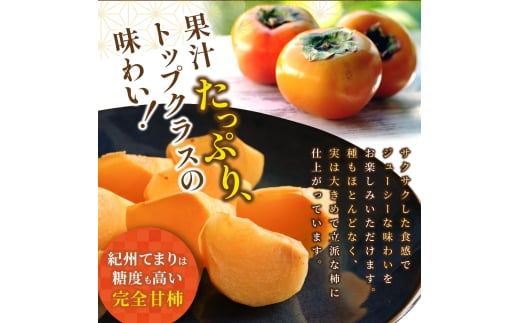 紀州てまり（和歌山県ブランド柿）6～7個入 こだわり農家厳選 先行予約 【2026年10月初旬頃から11月中旬頃順次発送】 / 柿 フルーツ 果物 かき 和歌山 かつらぎ 農家直送 贈答 【kgr029】