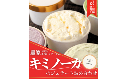 【キミノーカ選りすぐり】ジェラート12個セット 【4月発送】 / ジェラート アイス アイスクリーム キミノーカ スイーツ 大人気 牛乳 ギフト 夏 デザート 子供 バラエティセット おやつ ご褒美 定番 季節の 野菜 と 果物 使用 送料無料 和歌山【kmk002-4】