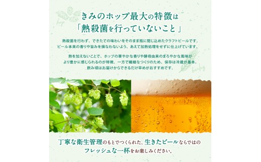 紀美野町産ホップ100%使用！ きみのホップ 24本入り / ビール 地ビール ホップ 国産 さわやか 晩酌 パーティ 飲み会 和歌山県 紀美野町【kml001】