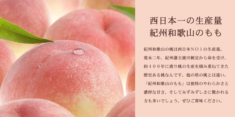  和歌山の桃 秀品 [約3.8~4kg] (サイズ・品種おまかせ) 紀伊国屋文左衛門本舗/もも 桃 フルーツ 果物 和歌山県 ※2026年6月中旬～2026年8月中旬頃に順次発送予定【kmtb800B】