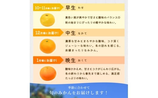 【訳あり】 温州みかん 約10kg 和歌山県産 2S~2Lサイズ混合※2025年11月上旬～2026年2月中旬ごろに順次発送【mrmt010】