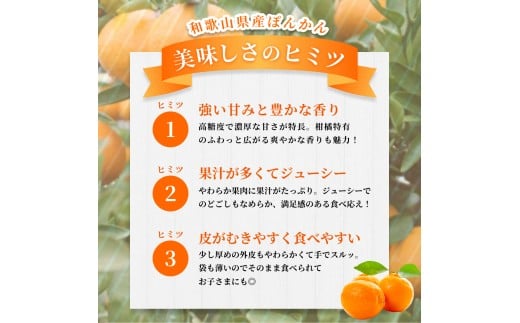 【ご家庭用】手選別 ぽんかん 約1.5kg 和歌山県産 2S~2Lサイズ混合※2026年1月上旬～2月上旬頃に順次発送【mrmt011】