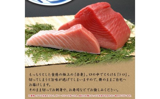 本マグロ（養殖）トロ＆赤身セット 1350g 【12月25日～29日に発送】 / 高級 クロマグロ  中トロ 中とろ まぐろ マグロ 鮪 刺身 赤身 柵 じゃばらまぐろ 本マグロ 本鮪【nks111B-sg】