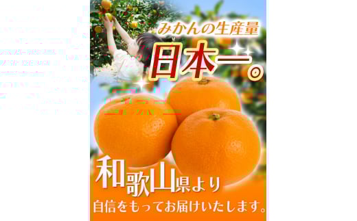 【2026年10月発送予約分】＼光センサー選別／ 【農家直送】【家庭用】こだわりの有田みかん 約5kg＋250g(傷み補償分) 先行予約 有機質肥料100% サイズ混合 【10月発送】みかん ミカン 有田みかん 温州みかん 柑橘 有田 和歌山 ※北海道・沖縄・離島配送不可/みかん ミカン 有田みかん 温州みかん 柑橘 有田 和歌山 産地直送【nuk160-10】