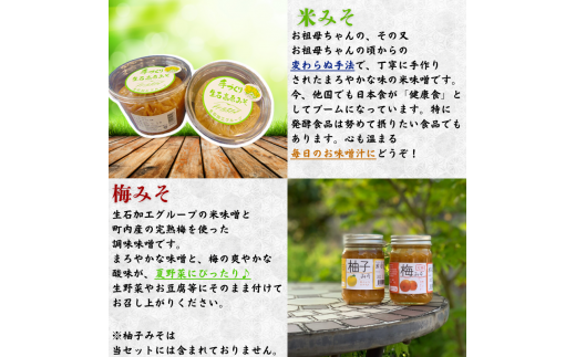 【手作り・無添加】「ふるさとの愛情詰め合わせ 食卓セット1」～ みそ・ジャム・焼肉のタレ ～ /調味料 味噌汁 パン BBQ スイーツ 料理 米味噌 梅味噌 ブルーベリー イタドリ ゴンパチ 和歌山【ois001】