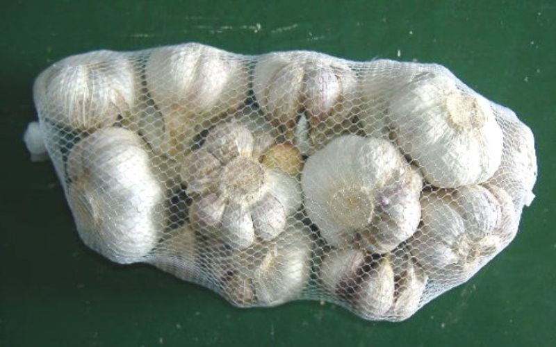 由良町産にんにく 優品 約1.8kg (900g×2) M～Ｌサイズ  ※2025年4月下旬～5月上旬頃順次発送予定 / にんにく ニンニク 野菜 やさい 食品【sml123】