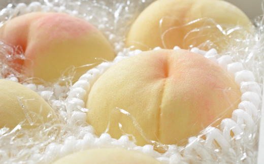  【産直・人気の特産品】和歌山の桃　約4kg・秀選品（2026年度発送分）※2026年6月下旬～2026年8月上旬頃順次発送 / もも モモ 桃 ギフト 贈り物 プレゼント 夏ギフト 果物 フルーツ 人気 産地直送 和歌山県 お取り寄せ 【tec911B】