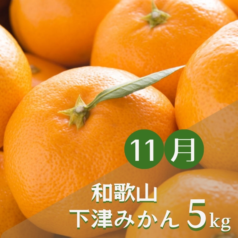 【3か月定期便】みかんの名産地和歌山発！秋のみかん定期便♪ゆら早生みかん・下津みかん・有田みかん【tkb362】