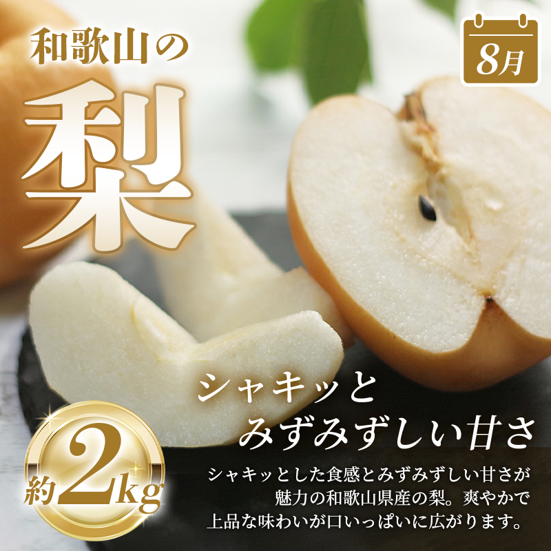 【全3回】紀州和歌山産旬のフルーツ定期便 (桃・梨・ピオーネ) / フルーツ 柑橘 和歌山 もも モモ 梨 なし ぶどう 葡萄 シャインマスカット ピオーネ 紫苑 【tkb424】