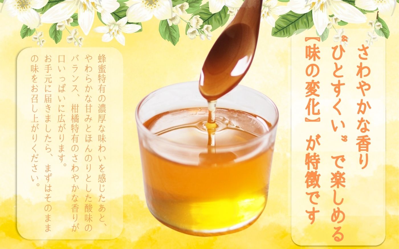 紀美野町産 純粋みかん蜂蜜1.2kg /蜂蜜 みかん みかん蜜蜂 和歌山 はちみつ【twn001-1】