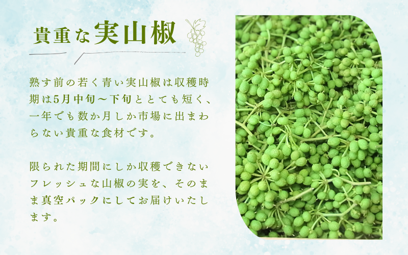  冷凍 ぶどう 生実山椒 500g / 山椒 さんしょう 香辛料 調味料 薬味 冷凍 ぶどう山椒 生山椒 和歌山県 紀美野町 生実山椒【twn006C】