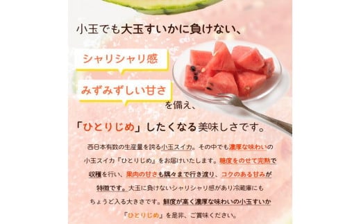 【先行予約】紀州和歌山産小玉スイカ「ひとりじめ」１玉【予約】※2026年6月上旬頃～7月上旬頃に順次発送予定(お届け日指定不可) スイカ すいか 果物【uot778】