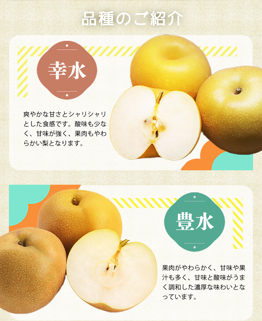 紀州和歌山産の梨 2kg 化粧箱入 ※2025年8月下旬頃～2025年9月上旬頃に順次発送 ※日付指定不可 梨 なし ナシ 果物 くだもの フルーツ 甘い【uot788】