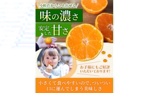〈年内発送！！〉温州みかん 「小粒っこ」 4g ※箱込み (極早生・早生・中生・晩稲)【2S～3Sサイズおまかせ】【2025年10月中旬～2026年1月下旬までに順次発送】＜味好農園＞/温州 みかん 小玉 蜜柑 柑橘 みかん 極早生 早生 中生 晩稲 小粒 果物 フルーツ 【agy026】