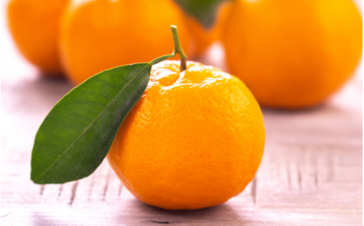 【先行予約】秀品 ポンカン 5kg 【S~2Lのサイズおまかせ】【2026年1月下旬から2月中旬頃に順次発送】＜味好農園＞/ ぽんかん 蜜柑 みかん 柑橘 果物 フルーツ 【agy009B】