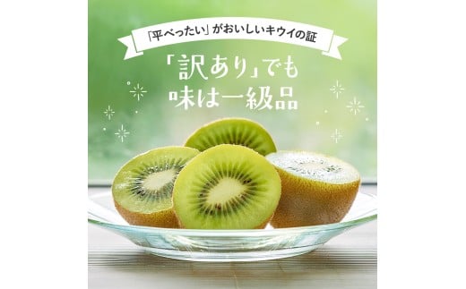 ＜11月より発送＞わけあり キウイ10kg+250g（傷み補償分）【わけあり・訳あり・扁平果】 / 和歌山  フルーツ 果物 くだもの 旬 キウイフルーツ キウイ【ikd716】