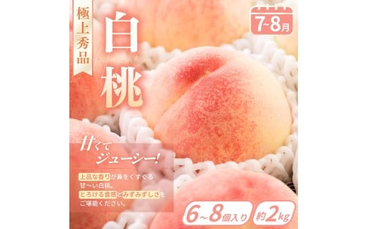 【フルーツ定期便・全4回】品質に自信あり！くしがきの里から直送　桃・シャインマスカット・はれひめ・まりひめを季節ごとにお届け♪ / 定期便 桃 もも みかん 柑橘 シャインマスカット マスカット いちご イチゴ 苺 果物 フルーツ 4回【kgr038】