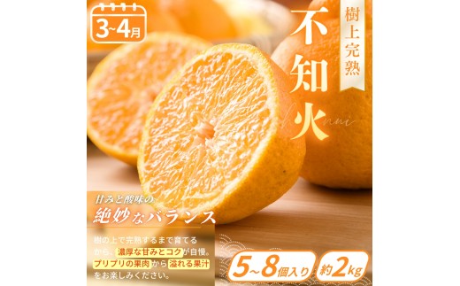 【フルーツ定期便・全6回】品質に自信あり！くしがきの里から直送　厳選した果物を最高のタイミングでお届け♪ / 定期便 桃 もも みかん 柑橘 シャインマスカット マスカット いちご 不知火 はれひめ イチゴ 苺 果物 フルーツ 6回【kgr039】