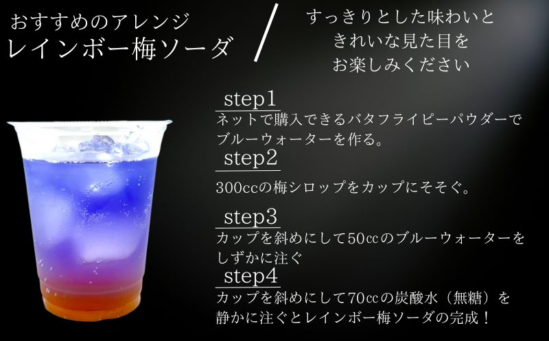 紀州南高梅シロップ　2本セット　化粧箱入り/ウメ 梅ジュース 梅ソーダ ドリンク 【kmf009】