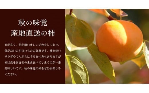  和歌山の 種なし 柿 約7.5kg 秀品 サイズ・品種おまかせ / かき 柿 たねなし柿 和歌山 ※2026年9月下旬～11月下旬頃に順次発送予定(お届け日指定不可)  【kmtb801B】