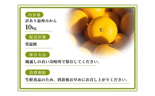【訳あり】 温州みかん 約10kg 和歌山県産 2S~2Lサイズ混合※2025年11月上旬～2026年2月中旬ごろに順次発送【mrmt010】