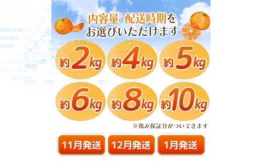 【2026年11月発送予約分】＼光センサー選別／ 【農家直送】【家庭用】こだわりの有田みかん 約6kg＋150g(傷み補償分) 先行予約 有機質肥料100% サイズ混合 【11月発送】みかん ミカン 有田みかん 温州みかん 柑橘 有田 和歌山 ※北海道・沖縄・離島配送不可/みかん ミカン 有田みかん 温州みかん 柑橘 有田 和歌山 産地直送【nuk102-11B】