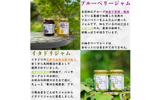 【手作り・無添加】「ふるさとの愛情詰め合わせ 食卓セット1」～ みそ・ジャム・焼肉のタレ ～ /調味料 味噌汁 パン BBQ スイーツ 料理 米味噌 梅味噌 ブルーベリー イタドリ ゴンパチ 和歌山【ois001】