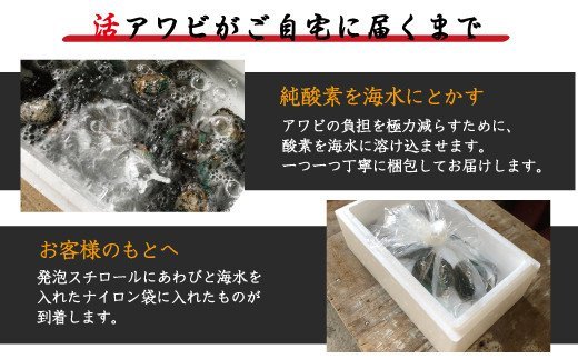 極上！やわコリ食感紀州の蝦夷アワビ 【3個入】  ※北海道・沖縄・離島への配送不可 / 鮑 アワビ あわび 人気 活アワビ 冷蔵【riz103】