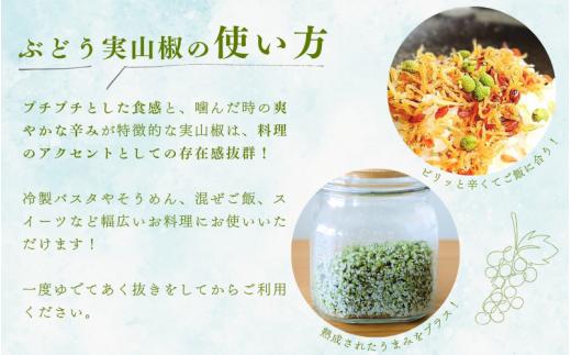  冷凍 ぶどう 生実山椒 250g / 山椒 さんしょう 香辛料 調味料 薬味 冷凍 ぶどう山椒 生山椒 和歌山県 紀美野町 生実山椒【twn020A】