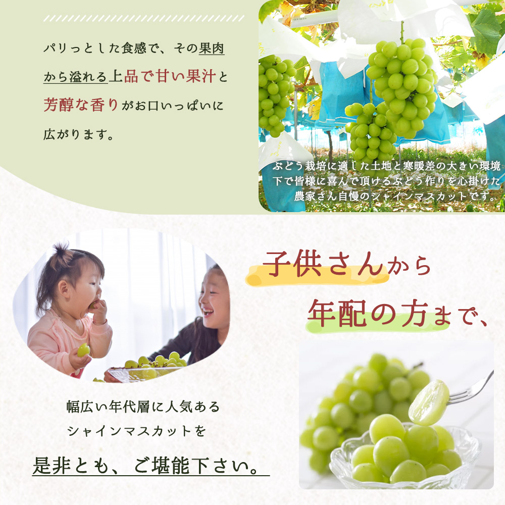 紀州和歌山産 シャインマスカット 約1kg ※2026年8月中旬頃〜2026年9月上旬頃発送 ※日付指定不可 ぶどう ブドウ 葡萄 マスカット 果物 くだもの フルーツ 人気【uot782】