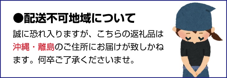 【梅干・梅酒用】（3Lまたは2L－2Kg）熟南高梅＜2026年6月上旬～7月7日発送予定＞【ART06】/梅 フルーツ 梅酒  生梅 南高梅 完熟 果物 くだもの 食品 人気 おすすめ 送料無料 和歌山 【art008B】