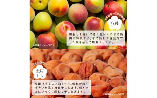 紀州南高梅つぶれ梅 はちみつ漬 400g×3パック (塩分8%) / ウメ 梅 うめ 梅干し 南高梅 紀州南高梅 和歌山 はちみつ梅 つぶれ梅 【azky006B】