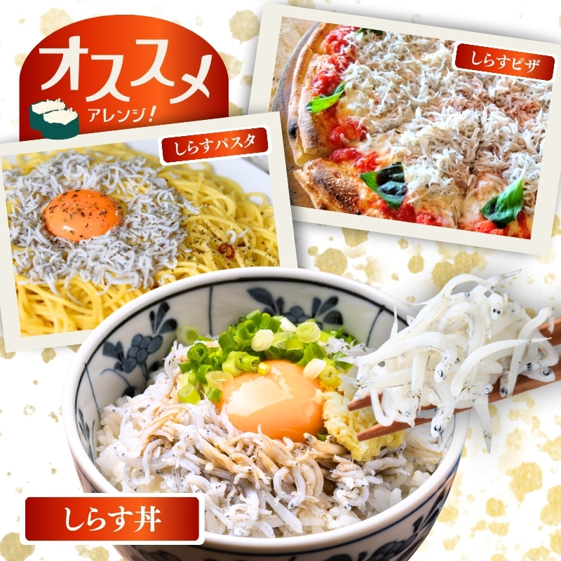 冷凍釜揚げしらす500g （100g×5パック） / シラス 厳選 小分け 冷凍便 お米のおとも【dig001-A】