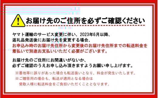 【先行予約】＼ みかんの名産地 和歌山県産／ 農家直送 大玉 有田みかん 5kg （2L～3L） ひとつひとつ手選別で厳選【2025年11月下旬頃発送予定】/ みかん ミカン 果物 くだもの フルーツ 有田みかん【hdm001-1A】