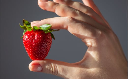 【先行予約】まりひめ いちご 12粒～15粒入り×2パック（500g）2026年1月中旬～2026年3月中旬頃に順次発送予定（お届け日指定不可）/ いちご 苺 まりひめ 和歌山 フルーツ 果物 くだもの【kgr007A】