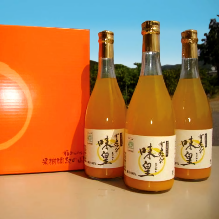 有田みかんの味皇（あじおう）720ml×3本/みかん みかんジュース 有田みかん 【kjk100】