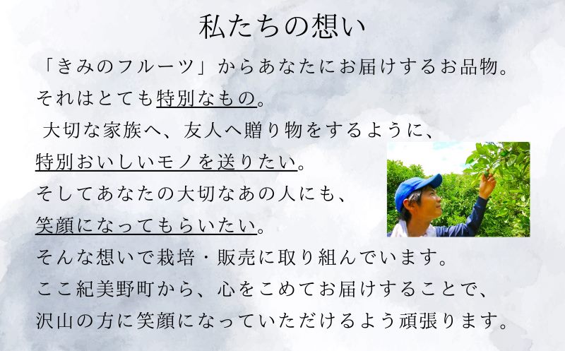 紀州南高梅シロップ　2本セット　化粧箱入り/ウメ 梅ジュース 梅ソーダ ドリンク 【kmf009】