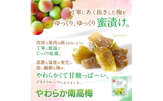 ドライフルーツ5袋セット（八朔、みかん、みかん、柿、梅）/ 和歌山県 紀美野町 フルーツ 果物 スイーツ おつまみ 全国配送 手土産 ギフト プレゼント お土産 ジューシー【kmf014】