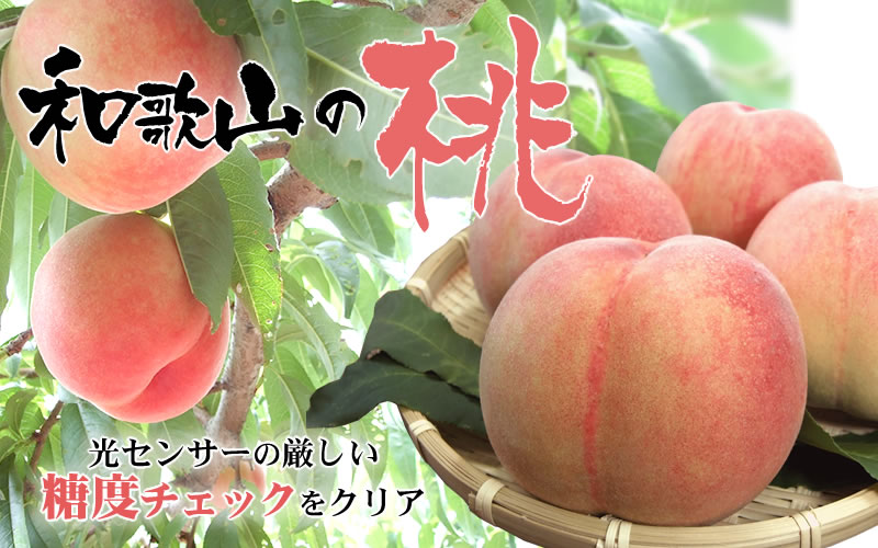  和歌山の桃 秀品 [約3.8~4kg] (サイズ・品種おまかせ) 紀伊国屋文左衛門本舗/もも 桃 フルーツ 果物 和歌山県 ※2026年6月中旬～2026年8月中旬頃に順次発送予定【kmtb800B】
