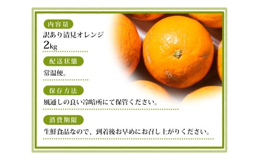 【訳あり】手選別 清見オレンジ 約2kg 和歌山県産 2S~2Lサイズ混合※2026年2月上旬～5月中旬頃に順次発送【mrmt023A】